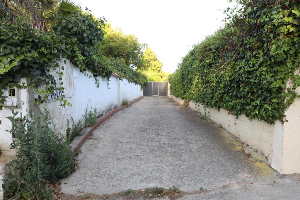 Chalet Con Piscina, Amplio Jardin Y Aire Acondicionado Chiclana de la Frontera Εξωτερικό φωτογραφία